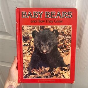 Baby Bears and How They Grow vintage 1986 Nat  Geo Hardcover Picture Book